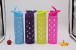 550ml Portable High Borosilicate Glass Water Bottle EK-G101